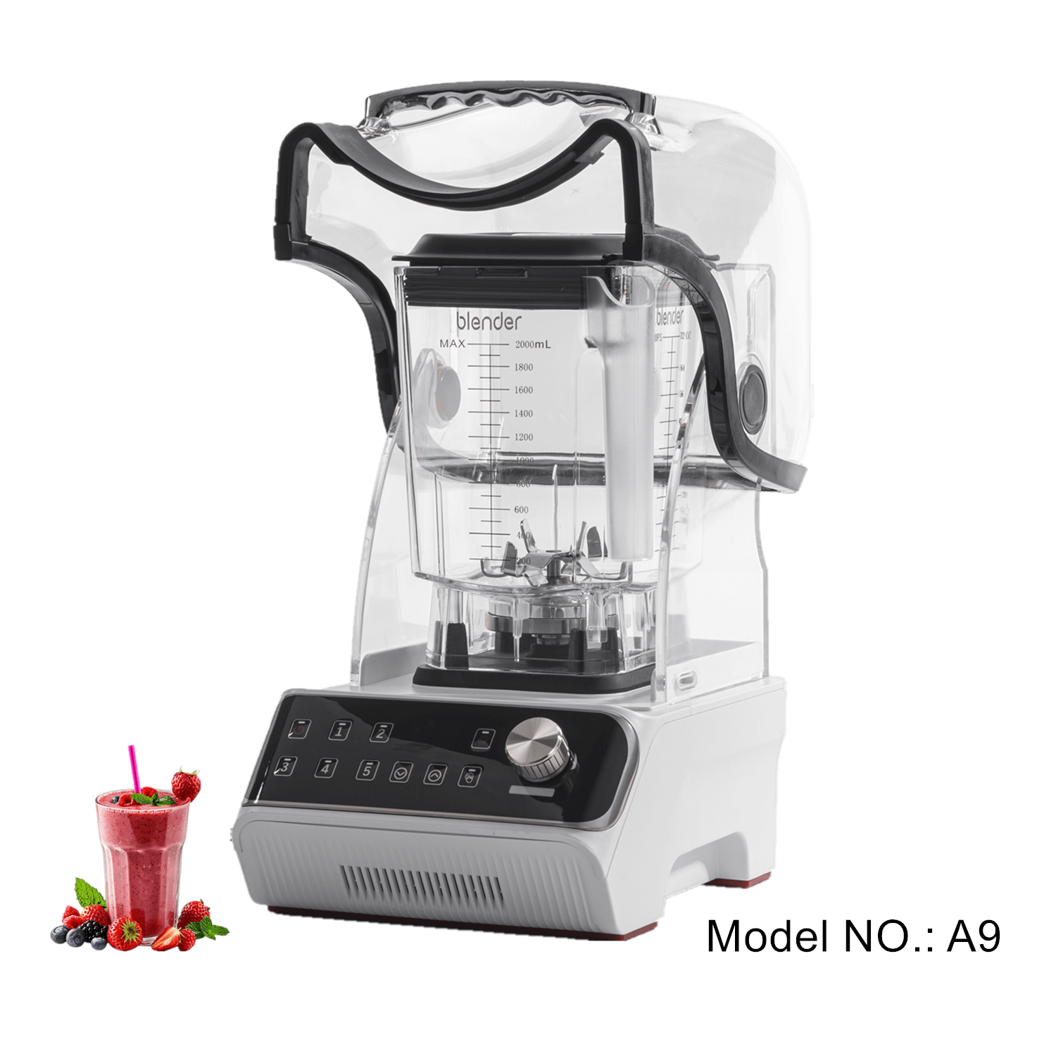 professional smoothie blender
